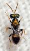 311126 – Photo : André Burgers – Espagne